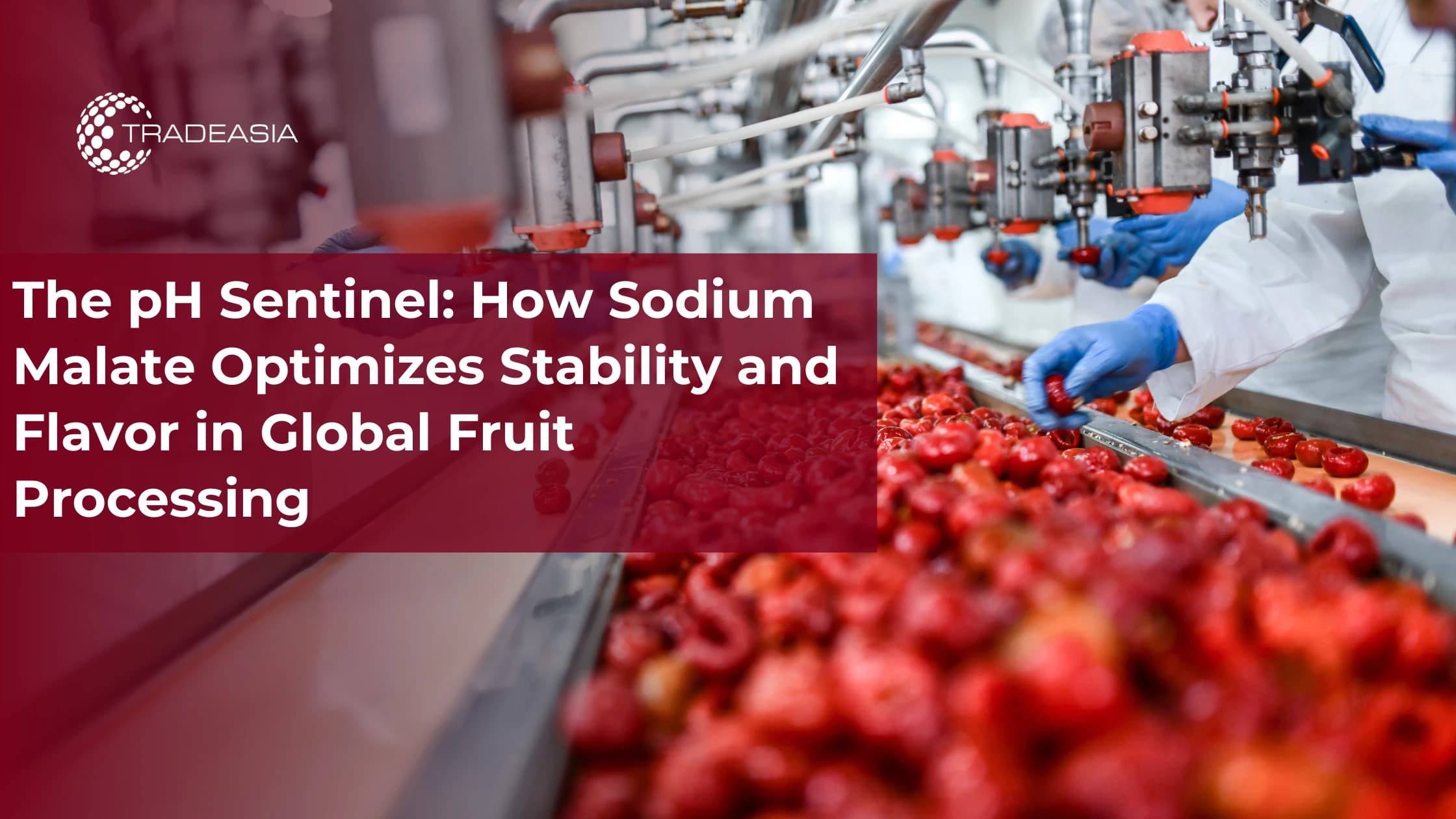 The pH Sentinel: cómo el malato de sodio optimiza la estabilidad y el sabor en el procesamiento mundial de frutas