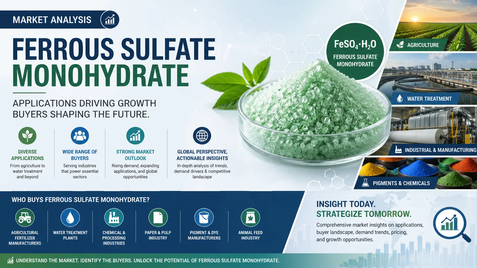 Ferrous Sulphate Monohydrate Market 2026: Applications & Key Global Buyers