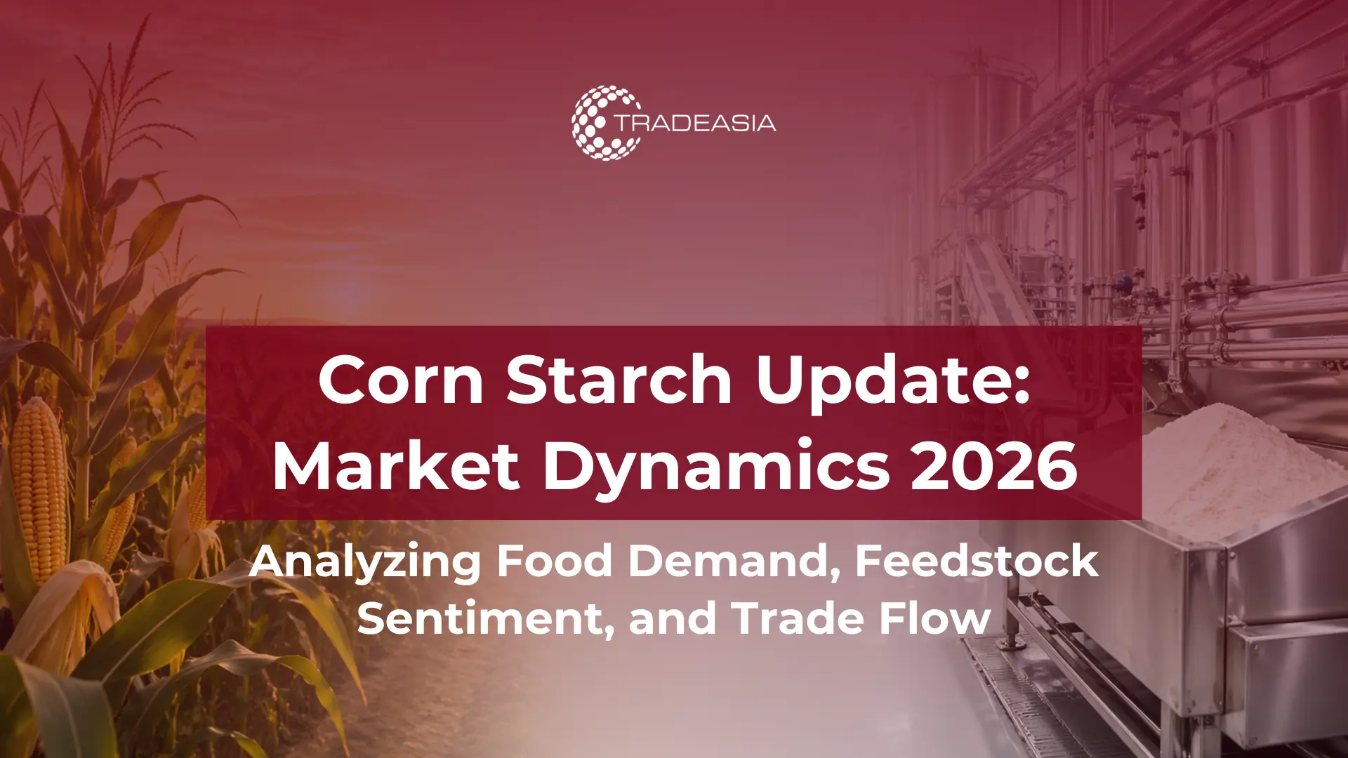 2026年玉米淀粉市场动态:食品需求、原料情绪和贸易流量