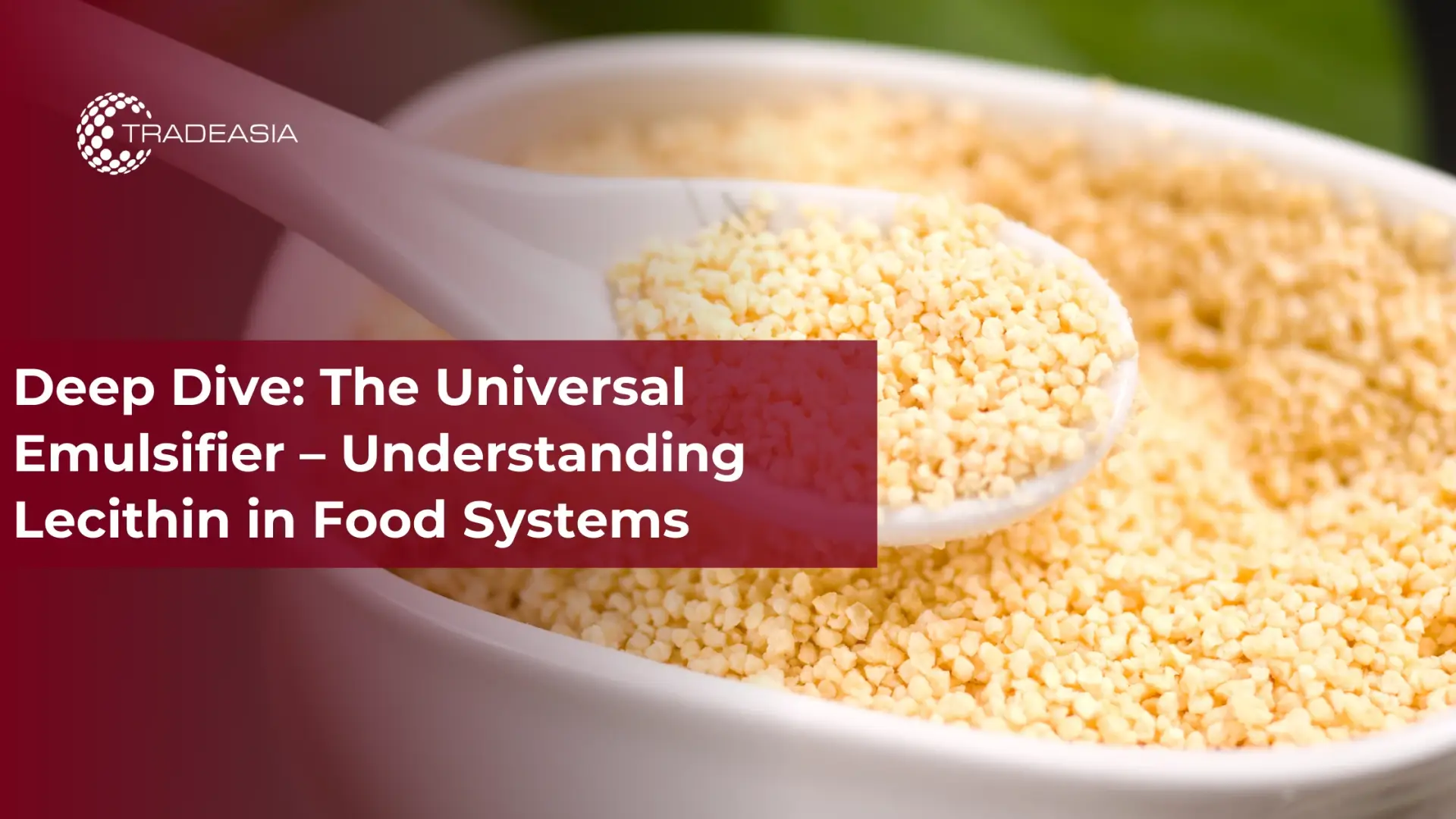 Deep Dive: El emulsionante universal: comprender la lecitina en los sistemas alimentarios