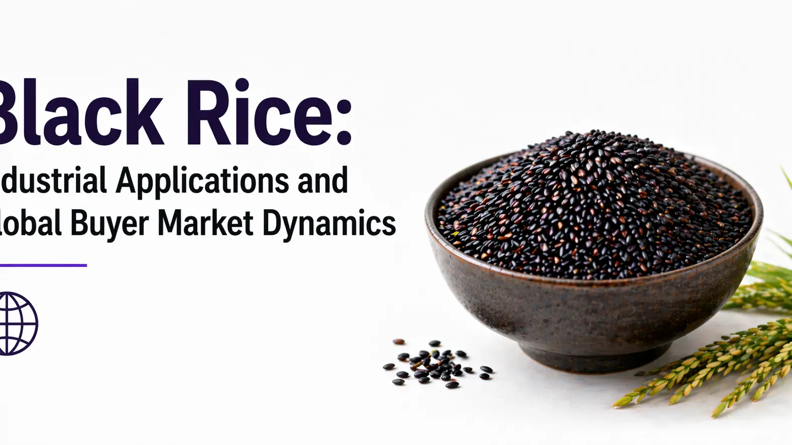 Black Rice: Industrial Applications and Global Buyer Market Dynamics