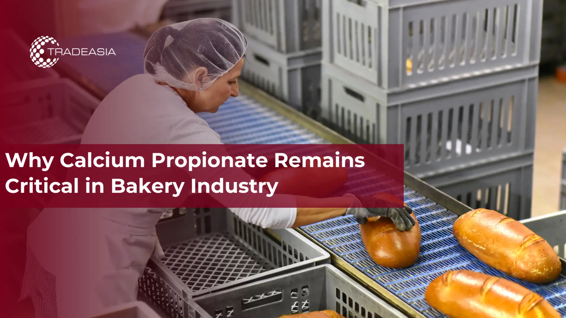 Why Calcium Propionate Remains Critical in Bakery Industry
