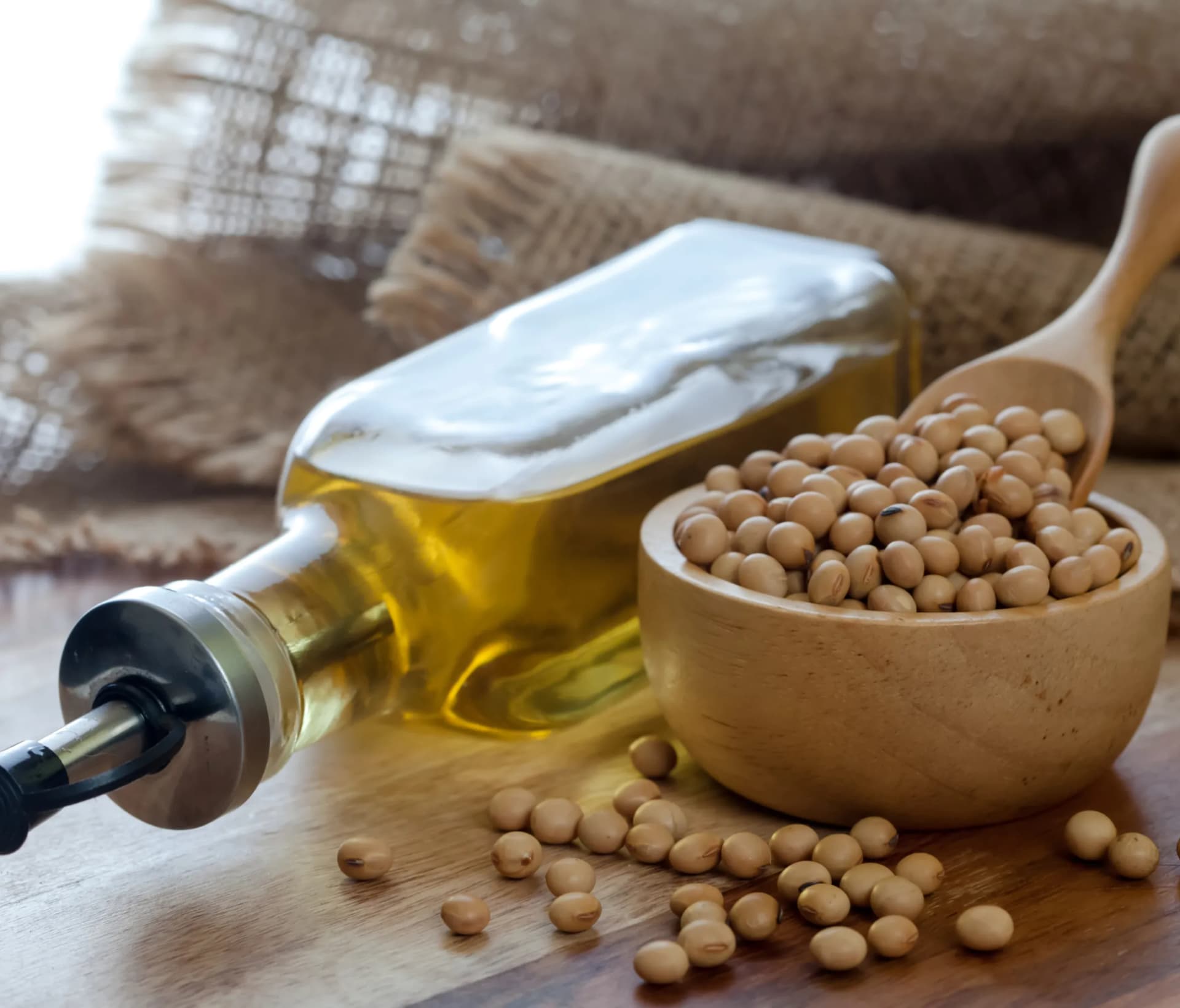 Crude Soybean Oil